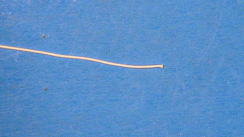 0.9mm Polyester Cord: Product Number 933